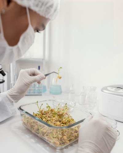 untitled design (53)