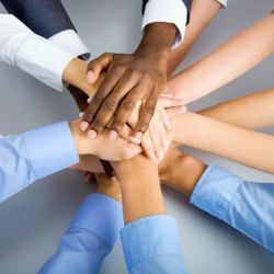 untitled design (59)