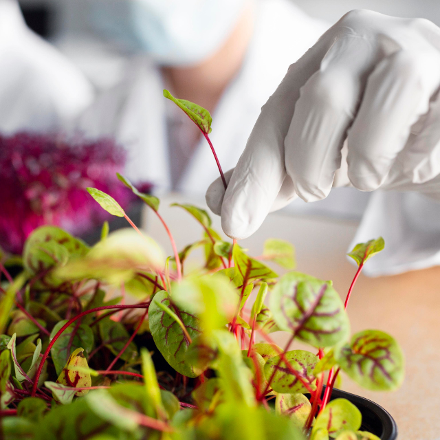 untitled design 2026 02 05t175751.837