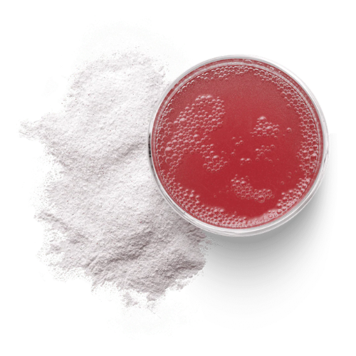 untitled design 2026 02 13t100805.426